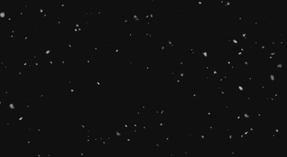 ECOMMERCE VIDEO SOCIAL AD (1)